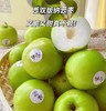 西双版纳雪枣 苹果枣【大果】 | 水果 商品缩略图0
