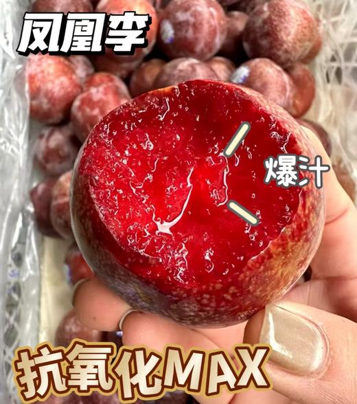 智利凤凰李 | 水果 商品图0