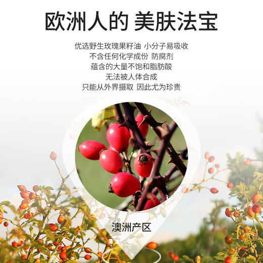 玫瑰果油基础油30ml/100ml 商品图2