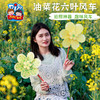 户外春天油菜花六叶风车手工diy儿童制作材料幼儿园旋转玩具装饰 商品缩略图3