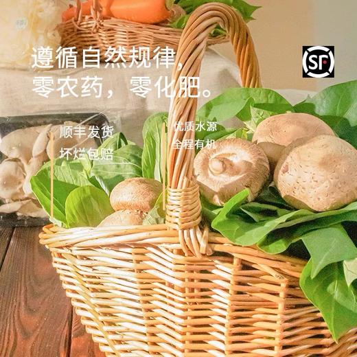 沈佳农有机笋尖350g/袋*3 商品图1
