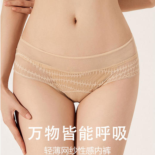 【特价捡漏】官网860！沃尔福te同款 两条装列维丝蕾丝网纱拼接性感低腰三角裤 透气棉质裆内裤底裤女 商品图0