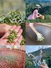 2026春茶采摘【都江堰·茶溪谷】踏春采茶39.8元/人~采茶制茶套票超值享，体验茶文化，学习制茶的过程和工序，劳动成果可带回家哦！ 商品缩略图0