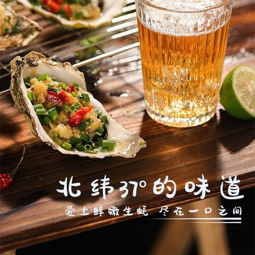【乳山生蚝三倍体】北纬37度纯净海域，乳山生蚝肥美口味鲜甜，个头大、肉质饱满、入口爽滑、汁液鲜美 商品图8