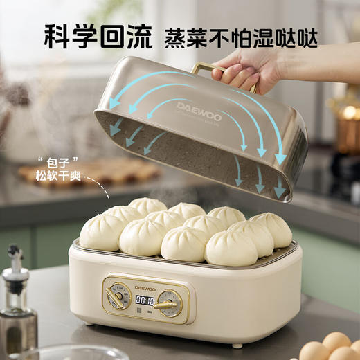 大宇【全钢电蒸锅】多功能蒸锅蒸煮炖一体 家用304不锈钢多层18L大容量蒸汽锅 预约早餐S30 商品图5