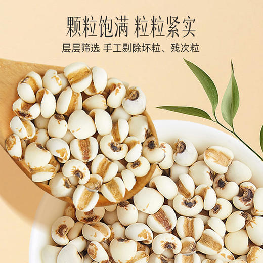 【官方正品】云南白药有这一方薏苡仁500g颗粒饱满薏仁米煮粥搭配莲子百合赤小豆 商品图1