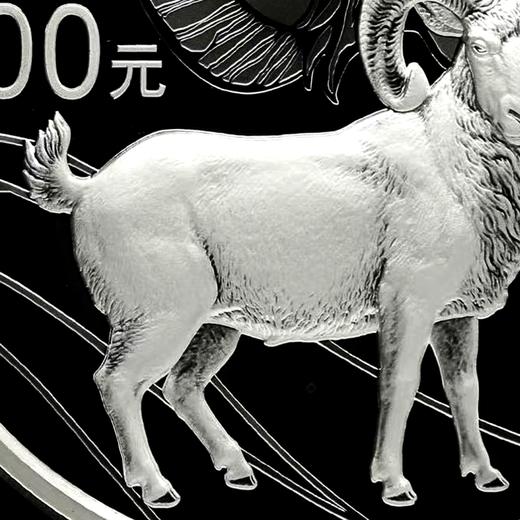 2015生肖羊年银币！1公斤！实铸量仅7000枚！ 商品图3