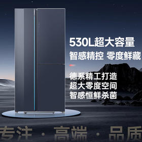西门子冰箱_KT92AA256C