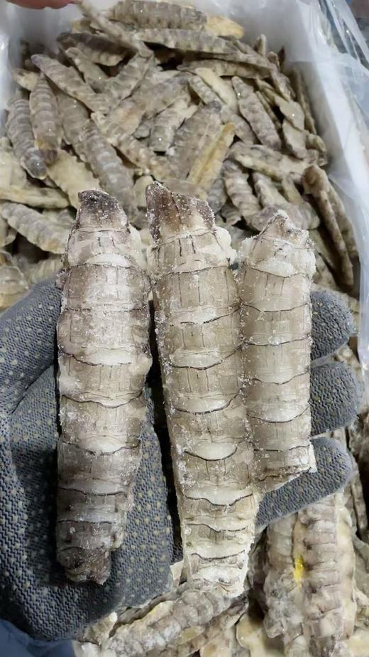 当地原浆生冻虾爬肉，可以煲汤，蒸鸡蛋糕， 炒菜、包饺子、做丸子、特别鲜美，顺丰陆运全国包邮（部分地区需联系客服另补运费，参考规格说明） 商品图0