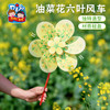 户外春天油菜花六叶风车手工diy儿童制作材料幼儿园旋转玩具装饰 商品缩略图0