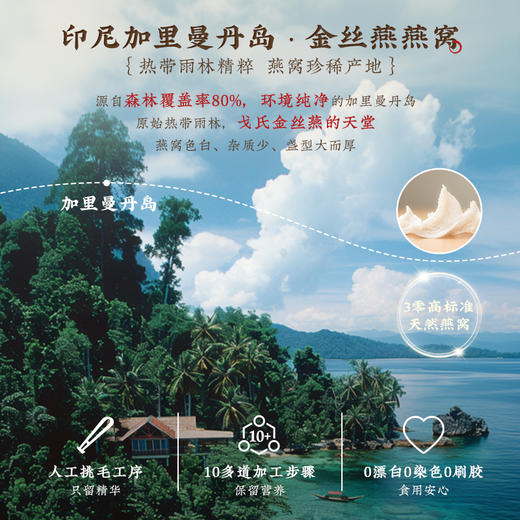 【食养系列】九阳豆浆燕窝银耳食养豆浆粉0添加蔗糖高蛋白营养早餐 商品图2