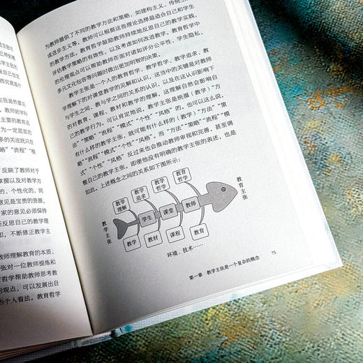 教学主张 打通理论与实践的阻隔 大夏书系 凌宗伟 教育创新 商品图9