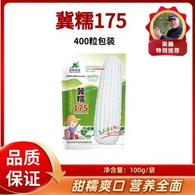 玉米种子 冀糯175 100克包装