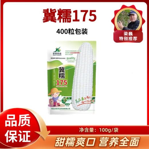 玉米种子 冀糯175 100克包装 商品图0