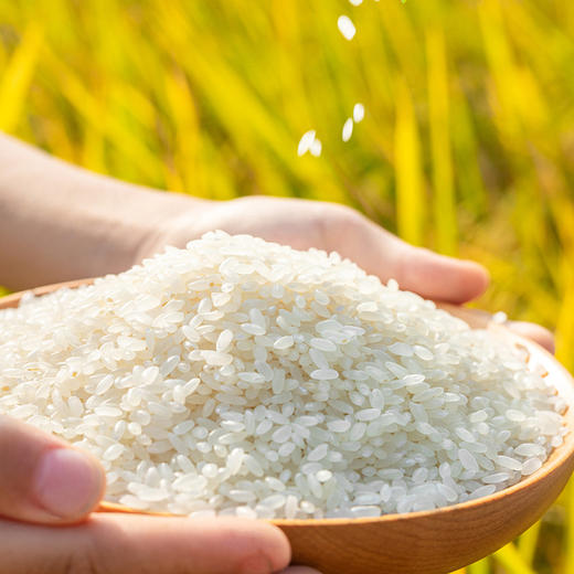 【东营特产】鸟语稻香2.5kg粥米 商品图1