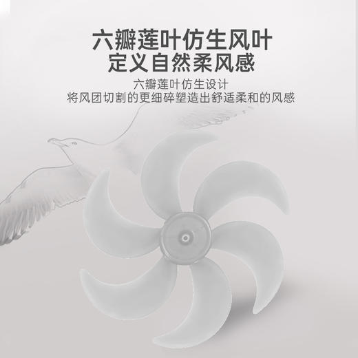 夏普 直流遥控落地扇PJ-FD112A 商品图8