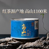 包装改版 元正 茶颜高山1100 特级武夷红茶叶罐装50g/150g 商品缩略图4