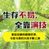 BBC系列： 绿色星球（平装全5册）根据BBC同名纪录片全新改编 附赠原纪录片片段 商品缩略图2