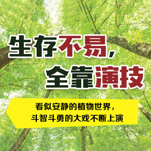BBC系列： 绿色星球（平装全5册）根据BBC同名纪录片全新改编 附赠原纪录片片段 商品图2