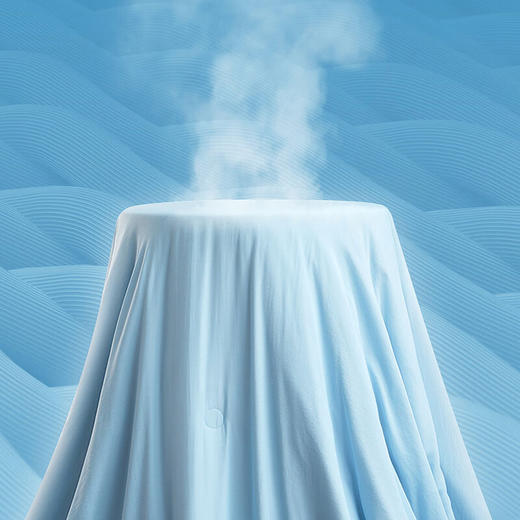 【分仓直发包邮】梦洁五星级水洗大豆纤维凉感被 商品图1