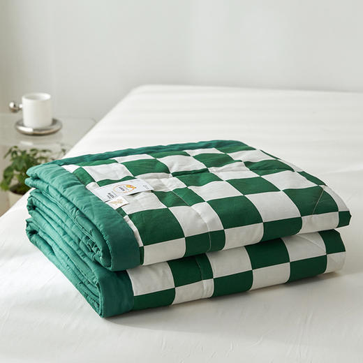 【捡漏69元起】全棉棋盘格夏被  可机洗水洗夏被四件套【不支持退换货】 商品图2