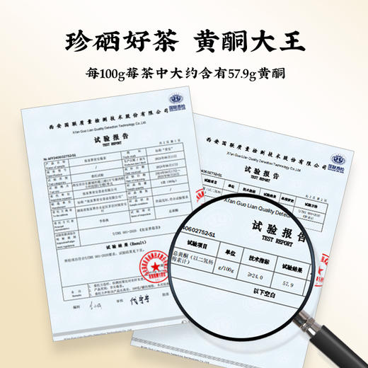 严选 | 陈力新牙尖莓茶 50g/罐 商品图5