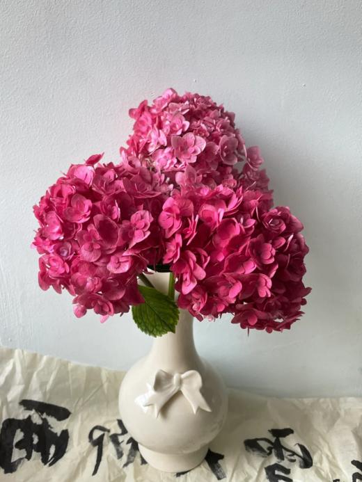 国产重瓣绣球花蜜糖1枝 商品图2