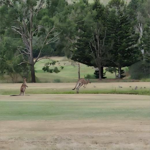 考拉奔高尔夫球场 Kooralbyn Valley Golf Course |  黄金海岸高尔夫球场 | 澳大利亚高尔夫球场俱乐部 商品图5
