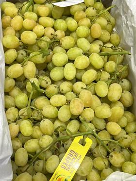 智利空运棉花糖青提（散称）