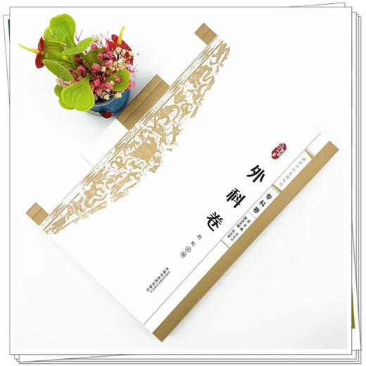 浙派中医:外科卷（专科卷）赵虹 主编 中国中医药出版社 浙派中医系列丛书 商品图1