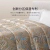 【罗卡芙】B7F ROYALCOVER罗卡芙匈牙利进口  95%鹅绒春秋被 兰特森林 商品缩略图3