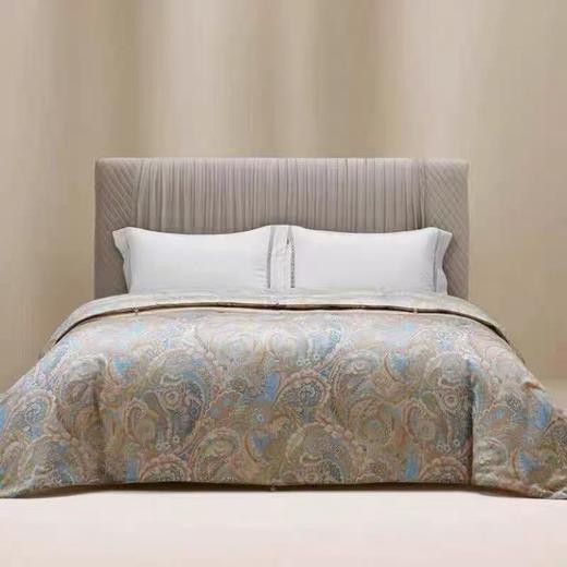 【罗卡芙】B7F ROYALCOVER罗卡芙匈牙利进口  95%鹅绒春秋被 兰特森林 商品图0