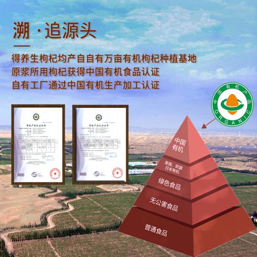 【鲜果成浆 多重维生素 纯浆不加水】得养生有机枸杞原浆 7*30mL/盒*2盒送1袋 商品图1