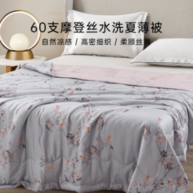 雅芳婷60支摩登丝可水洗夏薄被夏季透气空调被丝滑凉感夏凉被被子