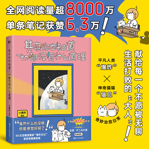 其实你也知道一切都没有什么道理 小爆炸日记 商品图2