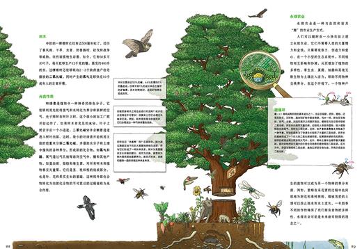 探索一个没有石油的世界 小女孩法蒂玛的奇妙之旅 商品图9