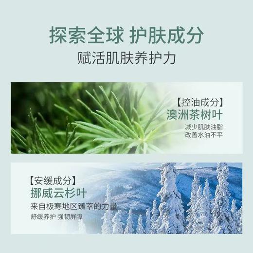 【春日集市】茶树叶控油菁萃洁面乳15g*2 商品图6