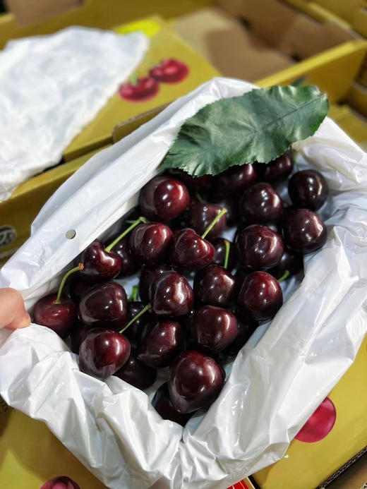 【小星星美早樱桃】小苹果般的大小，脆甜多汁，炒鸡过瘾 商品图8