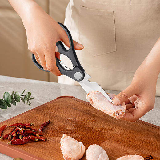 【分仓直发包邮】爱仕达皓锐系列五件套刀具RDG05A1TG 商品图4