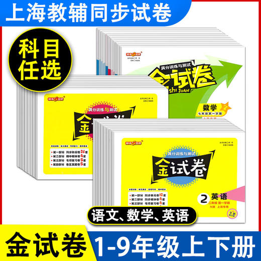 中小学金试卷.满分训练与测试1~9年级 商品图0