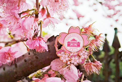 珞珈旋转徽章 商品图2