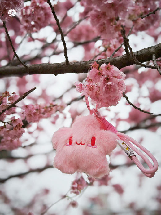 武大珞珈毛绒挂件 商品图2