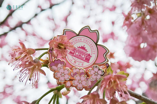 珞珈旋转徽章 商品图0