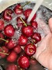 「樱桃来噜～」大连美早樱桃 2J3J4J5J6J 陆续更新品种中 商品缩略图6