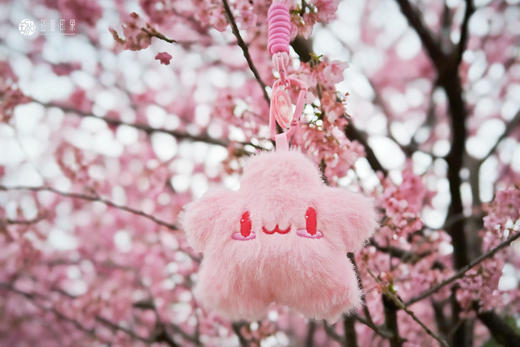 武大珞珈毛绒挂件 商品图0