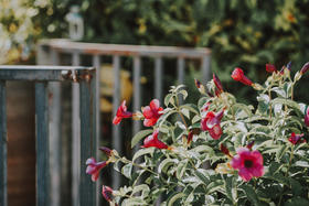 君子之志【袁奕的智慧漫画-8】