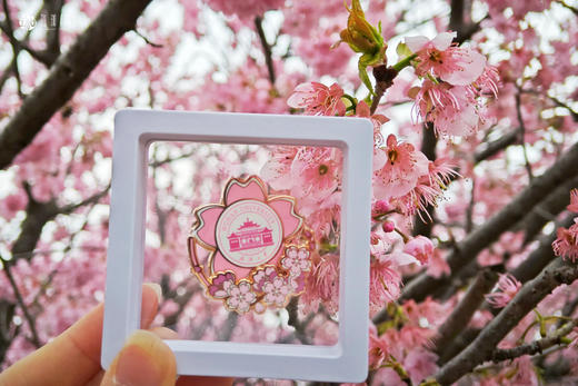 珞珈旋转徽章 商品图3