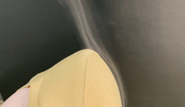 Honeycam 2025-02-26 09-30-34.gif