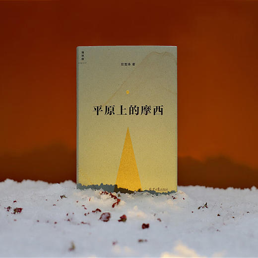 平原上的摩西 双雪涛 著 商品图2