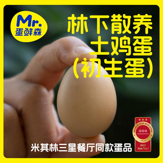 一年只卖一个月 限量2000盒 蛋鲜森金奖无抗初生蛋 蛋鲜森可生食土鸡蛋 顺丰/京东发 商品图5